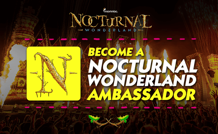 nocturnal_wonderland_2016_soc_social_ladder_700x430_r02