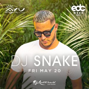 DJ Snake